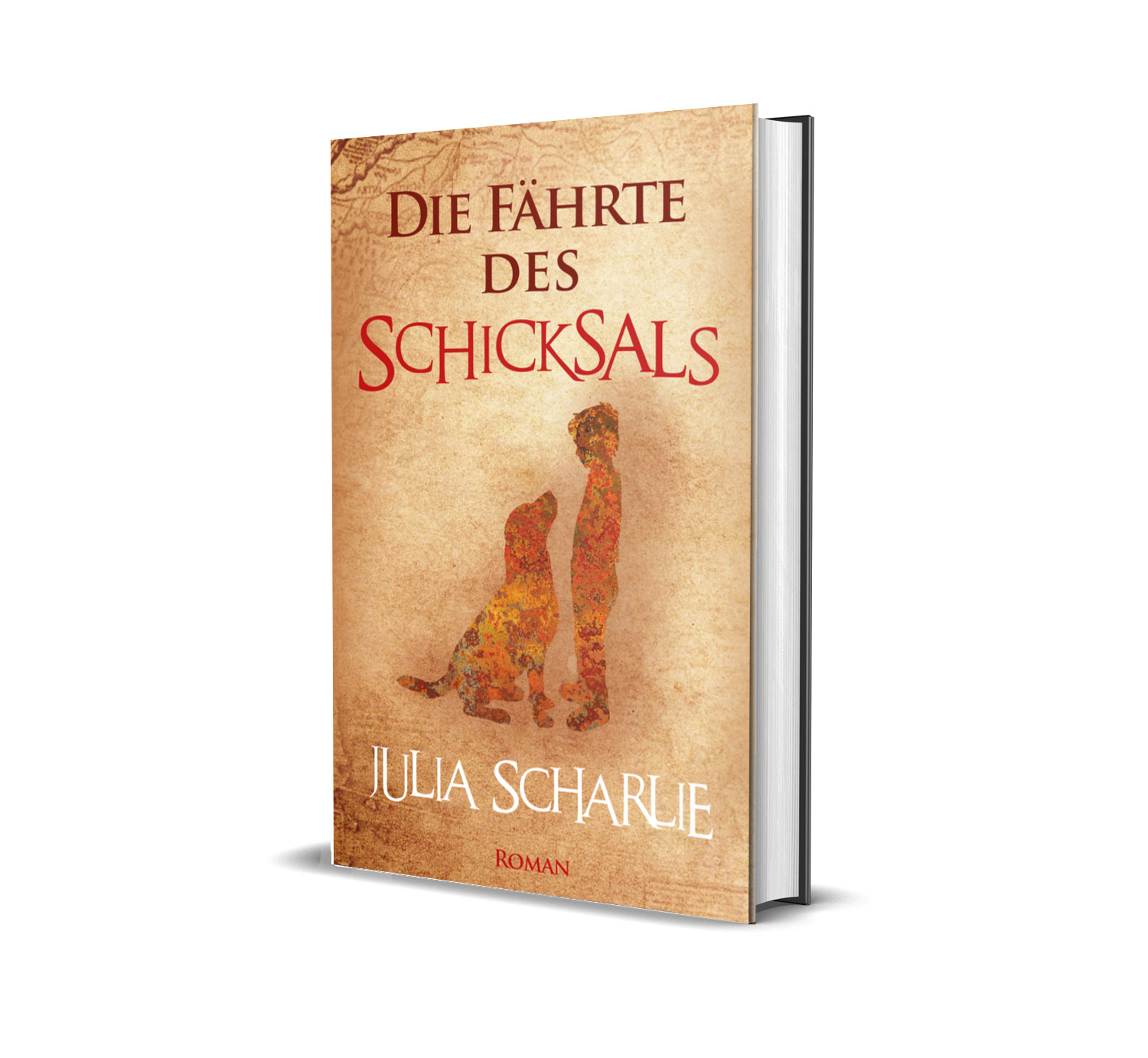 DFdS_Hardcover